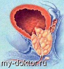    - MY-DOKTOR.RU