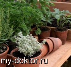    - MY-DOKTOR.RU