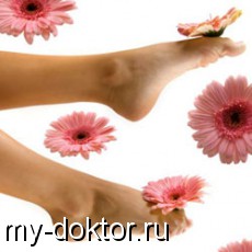  ,      - MY-DOKTOR.RU