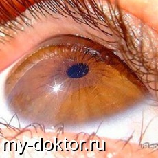       - MY-DOKTOR.RU