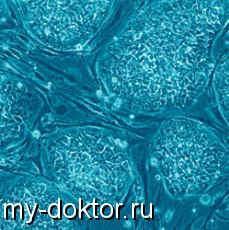     -    - MY-DOKTOR.RU