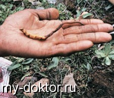     ! - MY-DOKTOR.RU