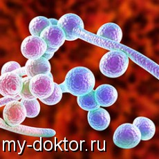    .     "" - MY-DOKTOR.RU