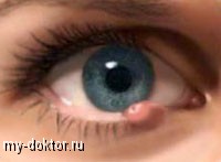       - MY-DOKTOR.RU