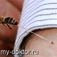       - MY-DOKTOR.RU