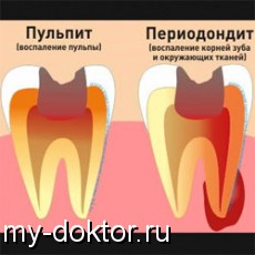      - MY-DOKTOR.RU