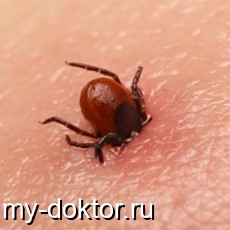   . . . .  - MY-DOKTOR.RU