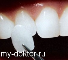      - MY-DOKTOR.RU