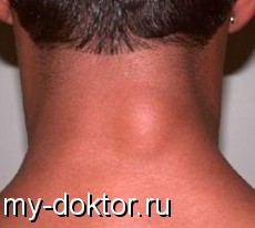   -   - MY-DOKTOR.RU