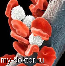 .   - MY-DOKTOR.RU