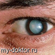    - MY-DOKTOR.RU