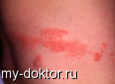   -    - MY-DOKTOR.RU