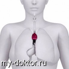      .    - MY-DOKTOR.RU