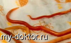  - MY-DOKTOR.RU