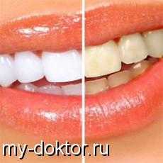  .  .    - MY-DOKTOR.RU