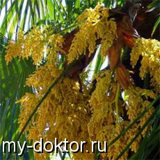      - MY-DOKTOR.RU