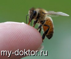     .    - MY-DOKTOR.RU