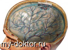      - MY-DOKTOR.RU