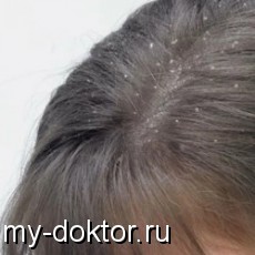       - MY-DOKTOR.RU