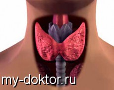        - MY-DOKTOR.RU