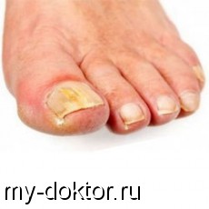           - MY-DOKTOR.RU