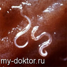    - MY-DOKTOR.RU