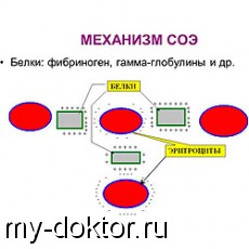   : ,     - MY-DOKTOR.RU