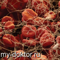   - MY-DOKTOR.RU