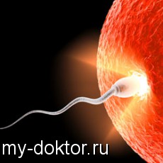   ( )  - MY-DOKTOR.RU