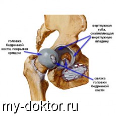     :       - MY-DOKTOR.RU