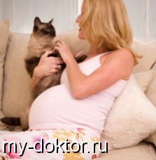 ,   ,   - MY-DOKTOR.RU