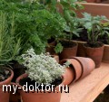    - MY-DOKTOR.RU