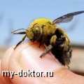  ,    - MY-DOKTOR.RU