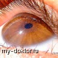       - MY-DOKTOR.RU