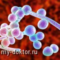    .     "" - MY-DOKTOR.RU