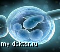     - MY-DOKTOR.RU