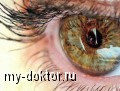  -  - MY-DOKTOR.RU