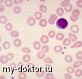      - MY-DOKTOR.RU