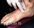   -    - MY-DOKTOR.RU