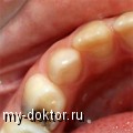         - - MY-DOKTOR.RU