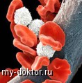 .   - MY-DOKTOR.RU