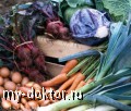   XXI !   - MY-DOKTOR.RU