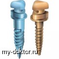  VectorTAS   - MY-DOKTOR.RU