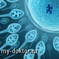  :  ,   - MY-DOKTOR.RU