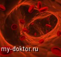      - MY-DOKTOR.RU