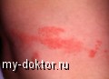   -    - MY-DOKTOR.RU