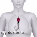      .    - MY-DOKTOR.RU