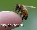     .    - MY-DOKTOR.RU