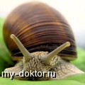     - MY-DOKTOR.RU