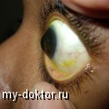        - MY-DOKTOR.RU